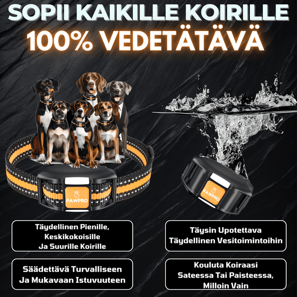 PAWPRO Ultimate – Koirien Koulutuspanta